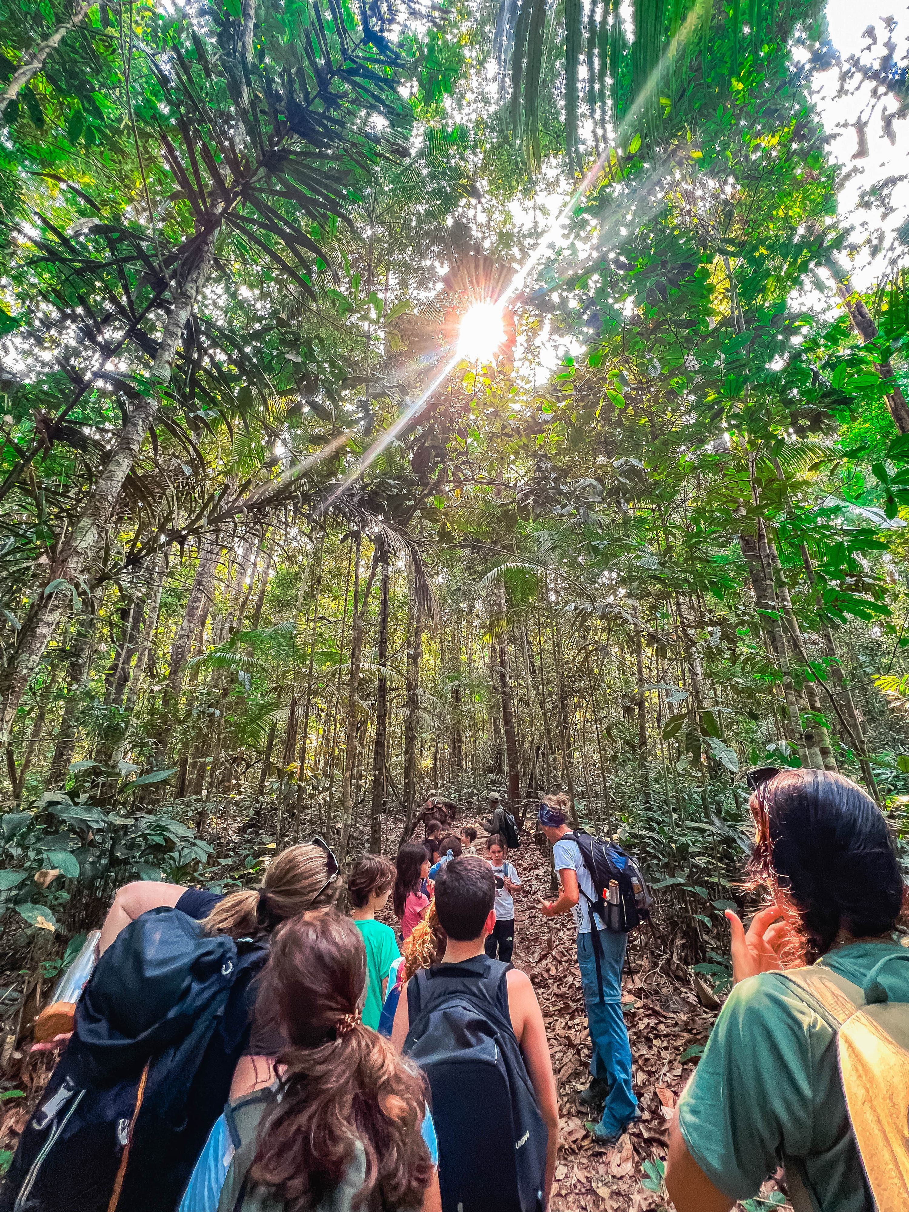 Natureza de Criança 2024