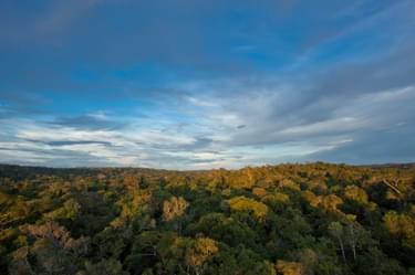 Cristalino Jungle Lodge Canopy Tower at sunset Samuel Melim 3
