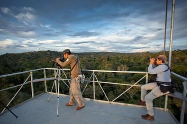 Cristalino Jungle Lodge Canopy Tower with Birdwatchers Samuel Melim