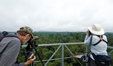 Cristalino Jungle Lodge Canopy Tower with Tourists Katia Kuwabara 2