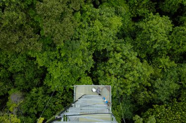 Cristalino Jungle Lodge View from the Canopy Tower Katia Kuwabara
